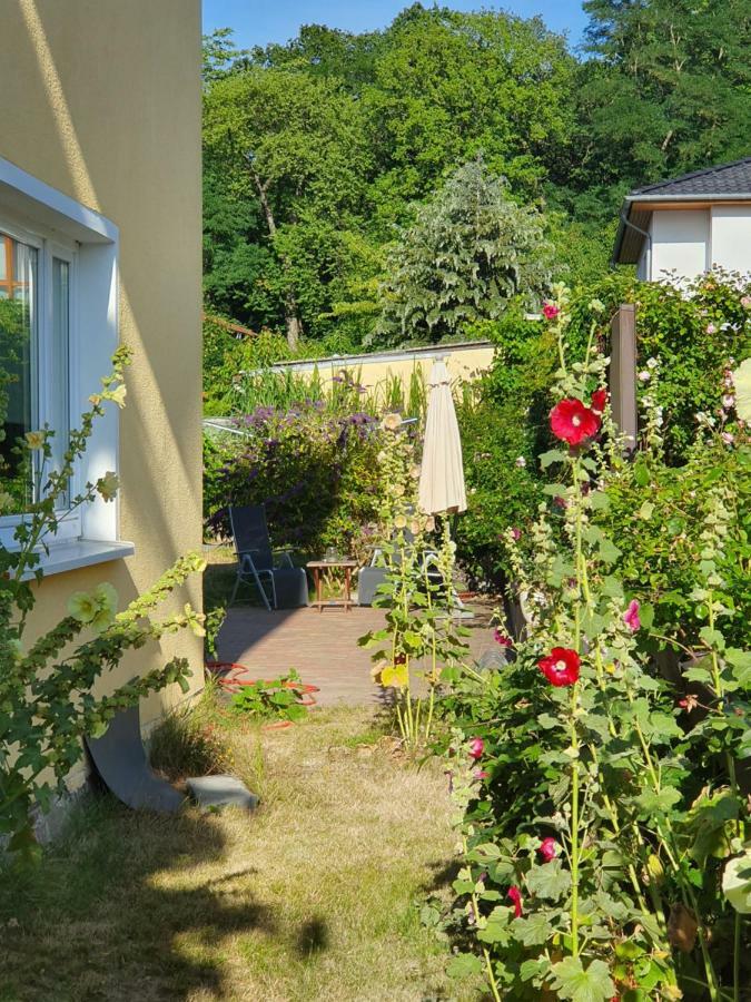 Ferienwohnung Paul Zinnowitz Εξωτερικό φωτογραφία